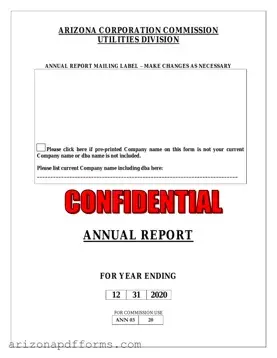 Blank Arizona Annual Report Template
